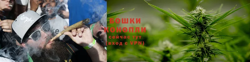 где продают   Подольск  Шишки марихуана White Widow 